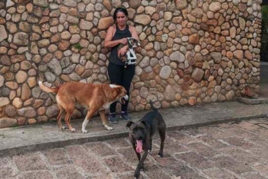 Silvana de Paula faz parte de uma das famílias que recebe a doação da Campanha Focinho Solidário (Foto: Prefeitura de Jundiaí)