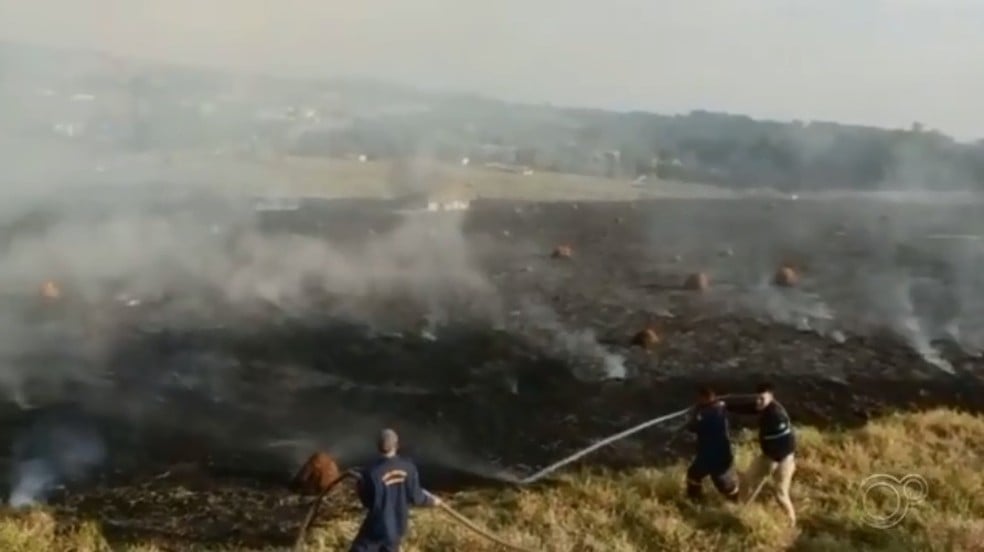 Agentes da Defesa Civil apagam fogo nas margens de rodovia em Itupeva