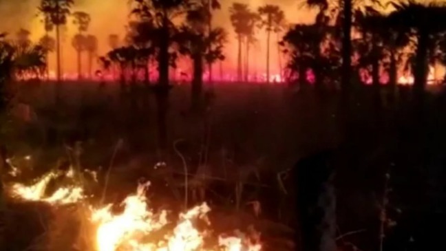 Incêndios atingiram o Pantanal nas últimas semanas
