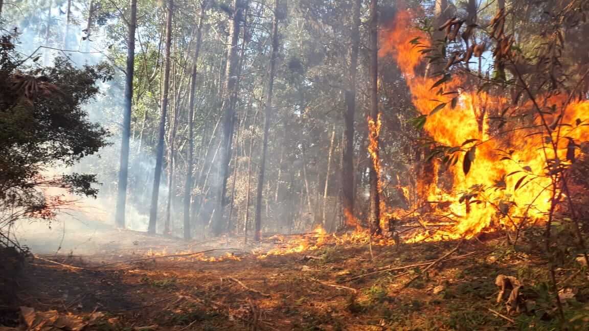Fogo na Serra do Japi. (Foto: Divulgação/PMJ)