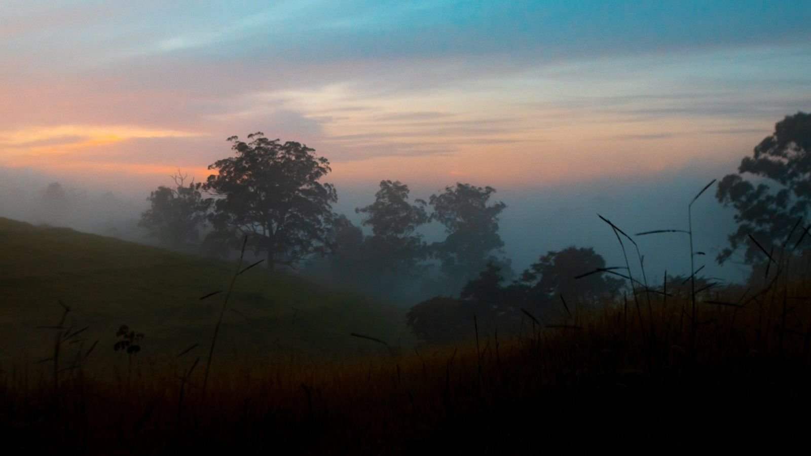 Paisagem com neblina.