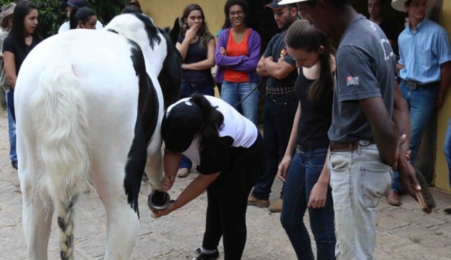 Fundo Social de Solidariedade de Jundiaí (Funss)