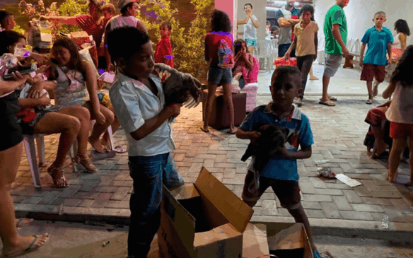 Meninos com galinha nas mãos