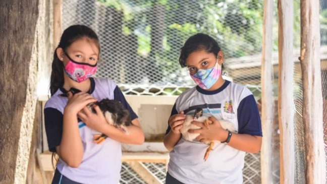 EMEB de Jundiaí tem aulas temáticas com animais