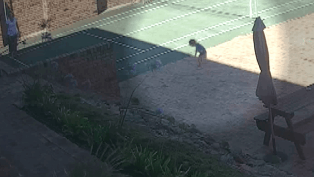 Picada de cobra. (Foto: Divulgação)