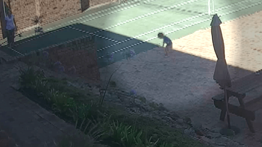 Picada de cobra. (Foto: Divulgação)