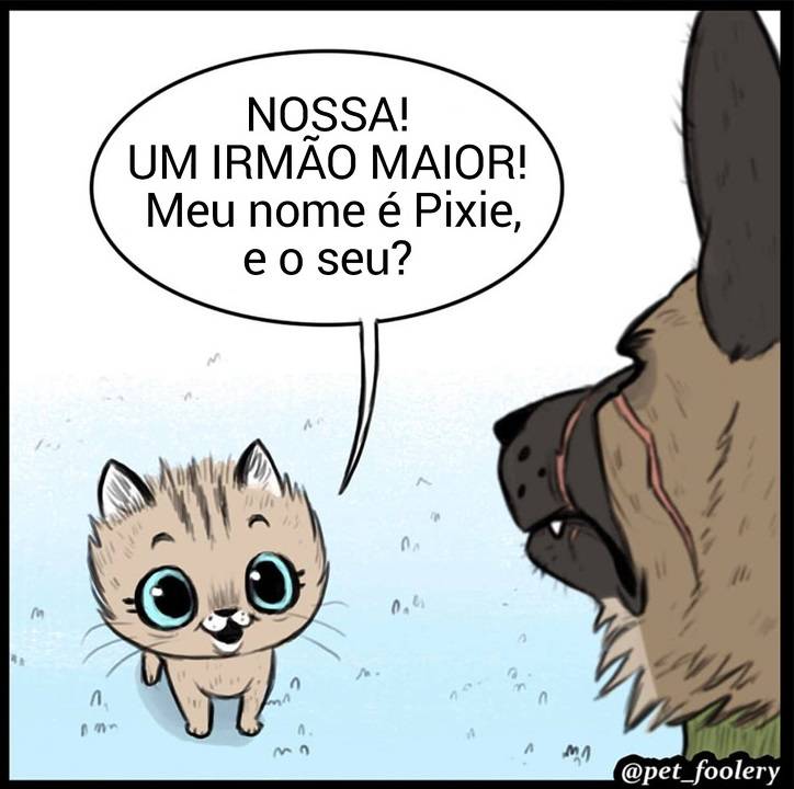 gatinha-pastor-alemao1-2-compressed