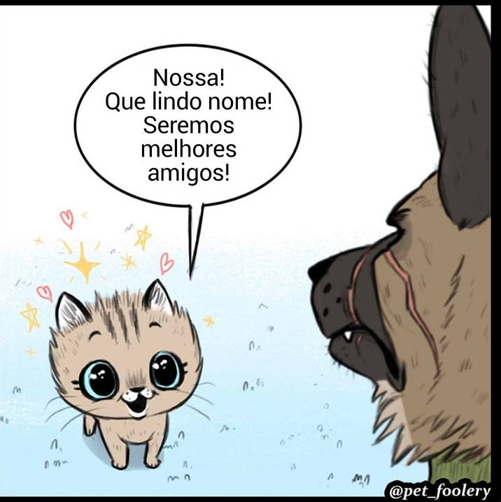 gatinha-pastor-alemao1-4-compressed