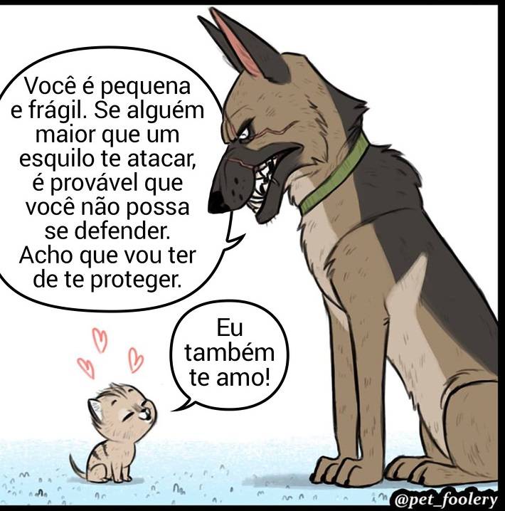 gatinha-pastor-alemao1-5-compressed