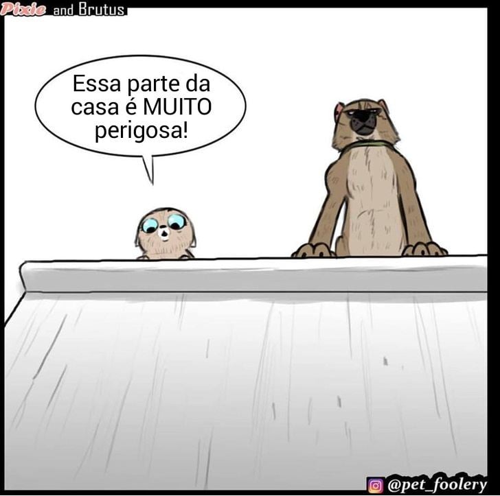 gatinha-pastor-alemao2-2-compressed