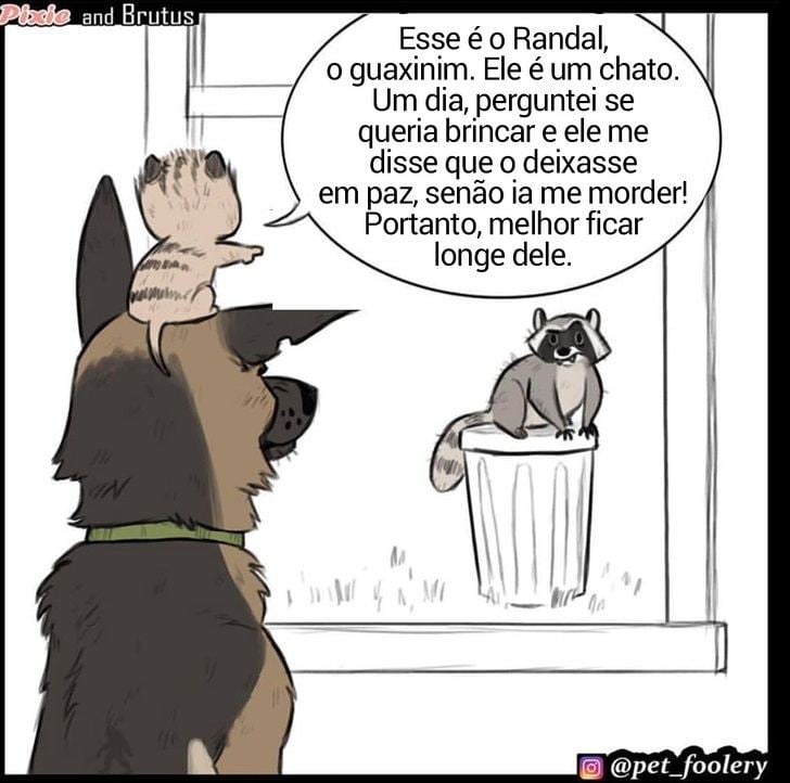 gatinha-pastor-alemao2-4-compressed