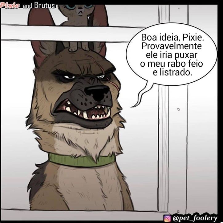 gatinha-pastor-alemao2-5-compressed