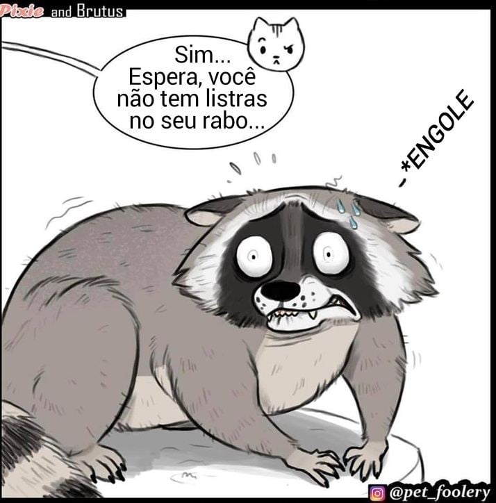 gatinha-pastor-alemao2-6-compressed