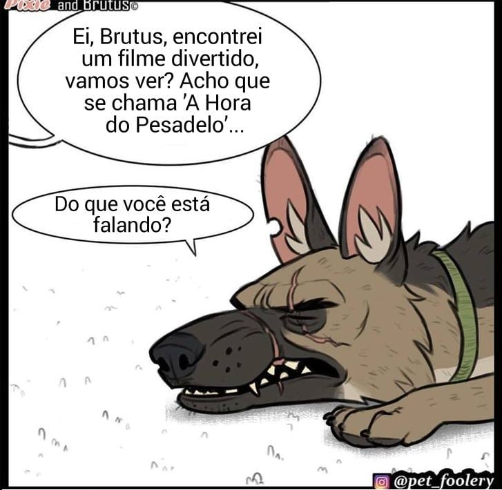 gatinha-pastor-alemao3-1-compressed