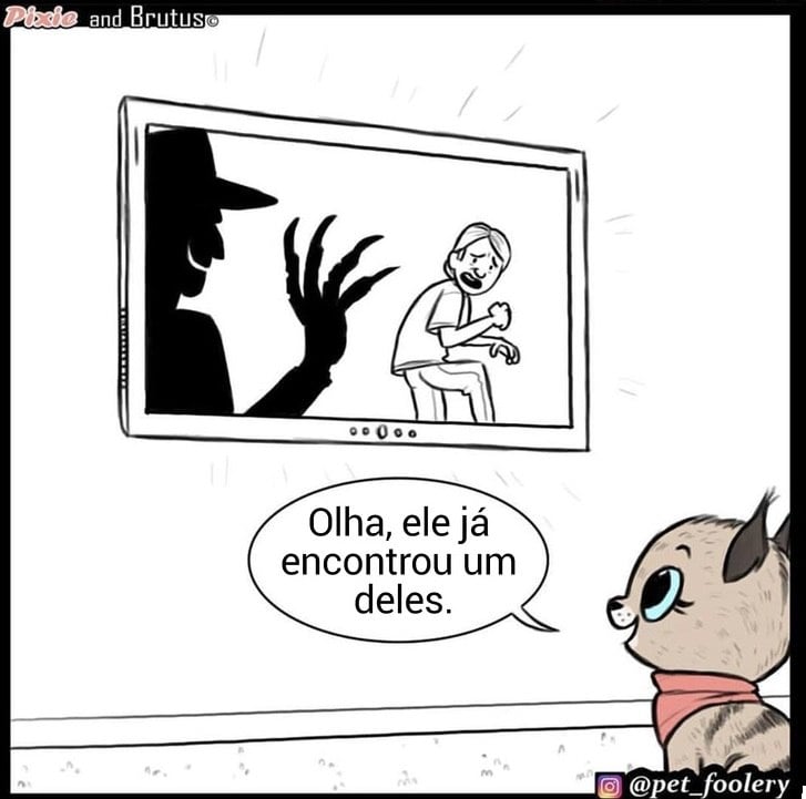 gatinha-pastor-alemao3-4-compressed