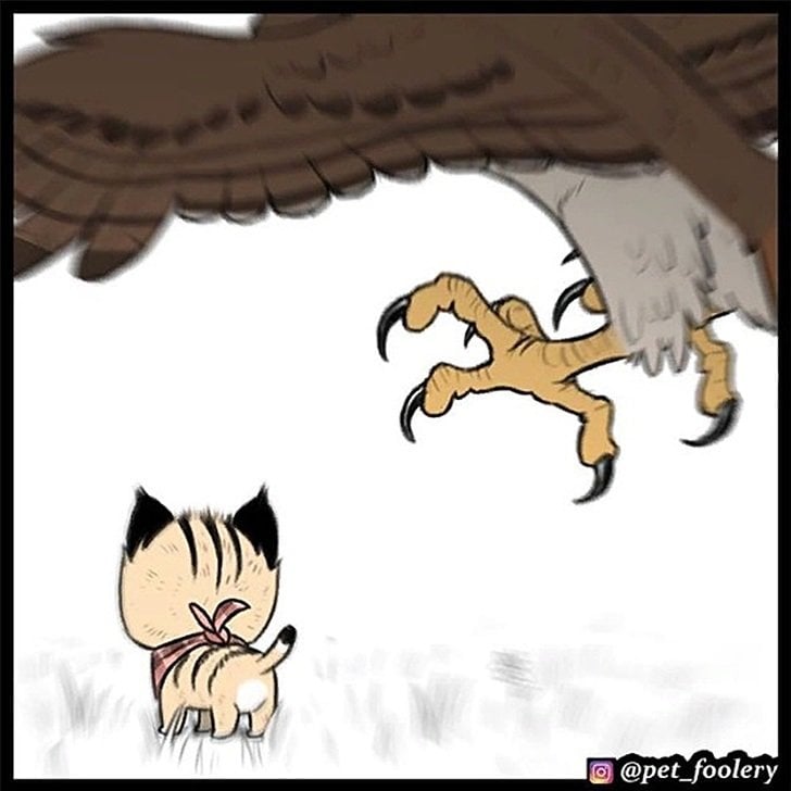 gatinha-pastor-alemao4-1-compressed