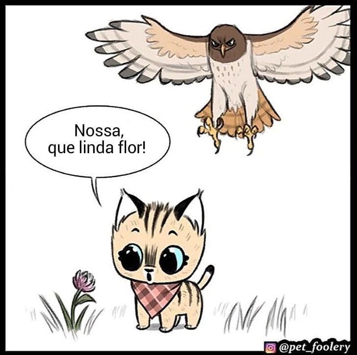 gatinha-pastor-alemao4-2-compressed