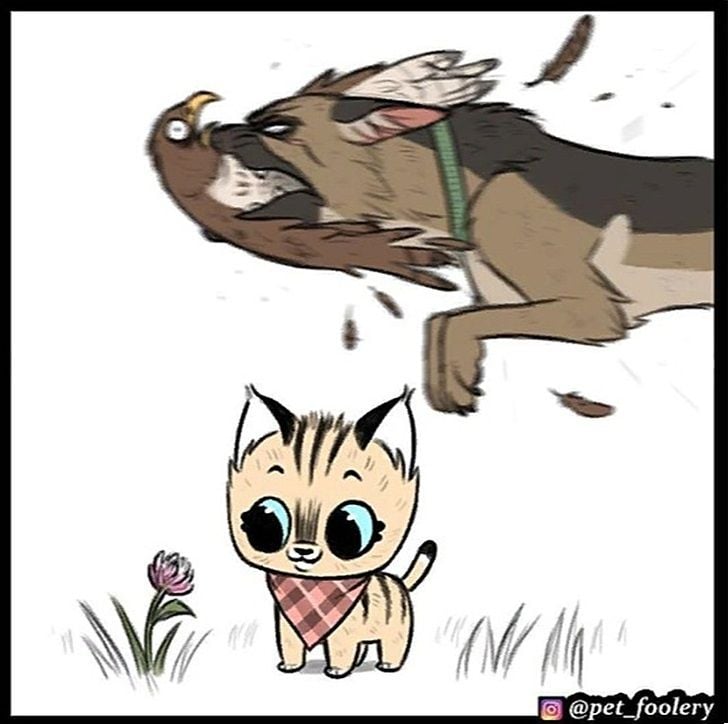 gatinha-pastor-alemao4-3-compressed