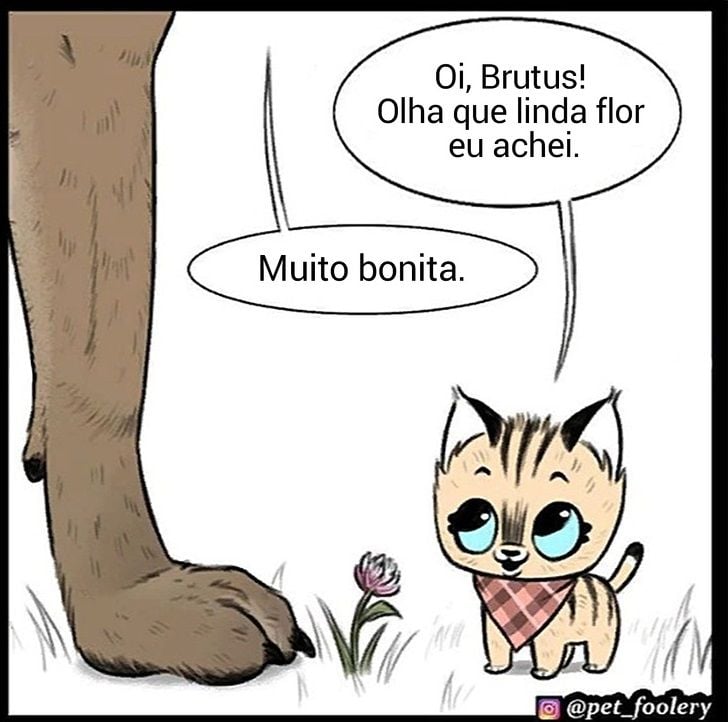 gatinha-pastor-alemao4-4-compressed