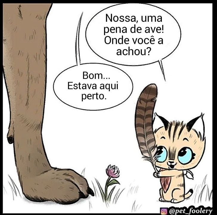 gatinha-pastor-alemao4-5-compressed