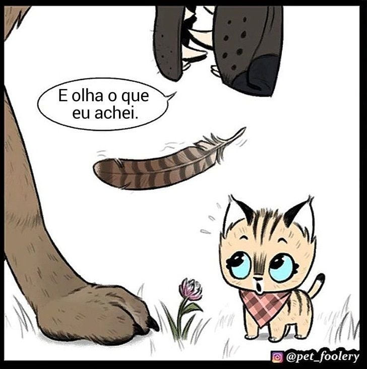 gatinha-pastor-alemao4-6-compressed