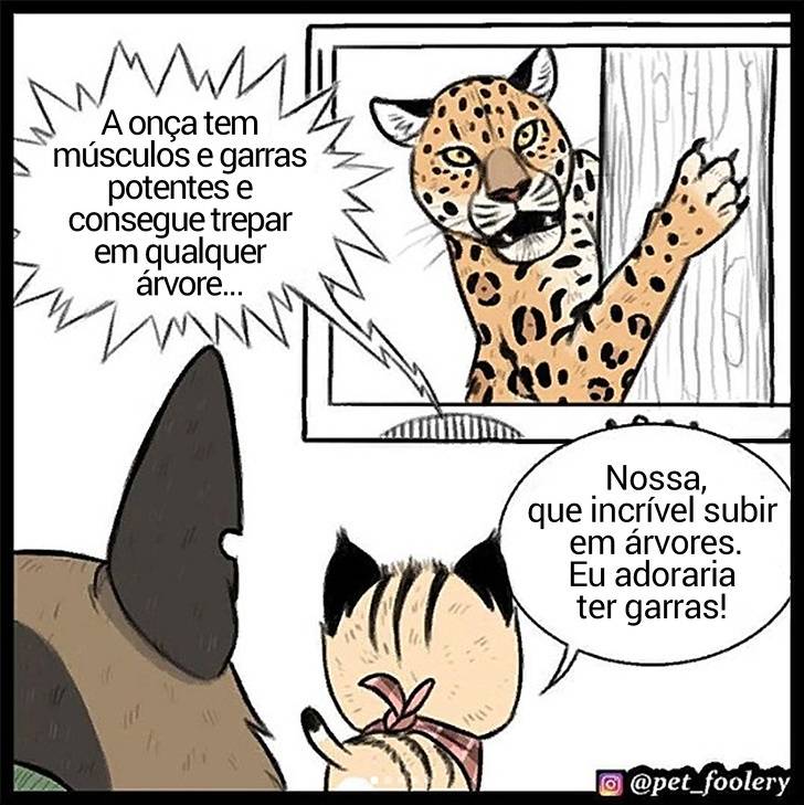 gatinha-pastor-alemao5-1-compressed