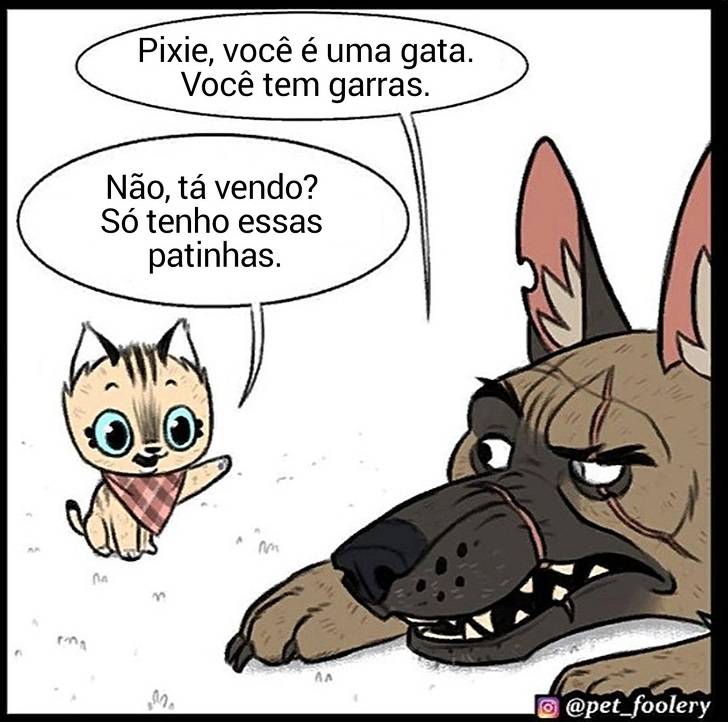 gatinha-pastor-alemao5-2-compressed