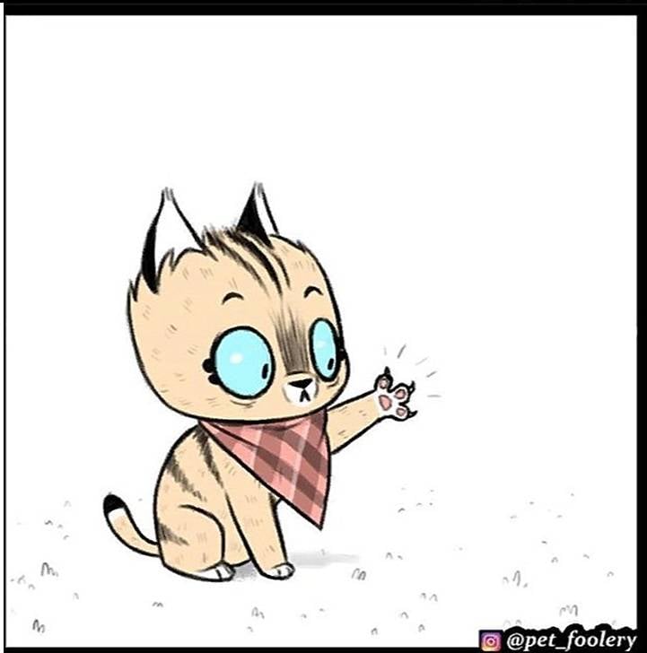 gatinha-pastor-alemao5-4-compressed