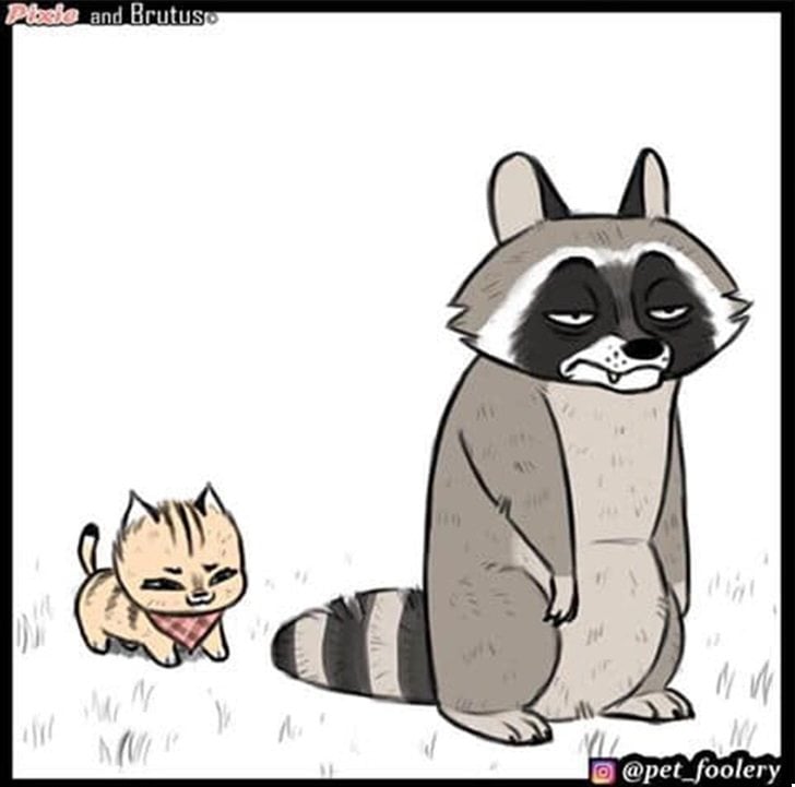 gatinha-pastor-alemao6-2-compressed