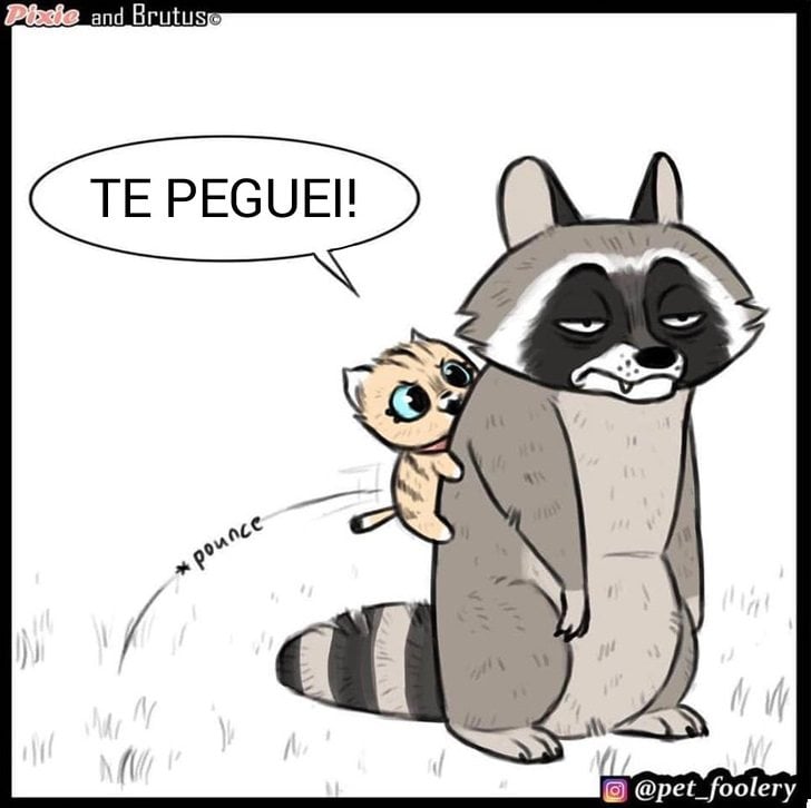 gatinha-pastor-alemao6-3-compressed