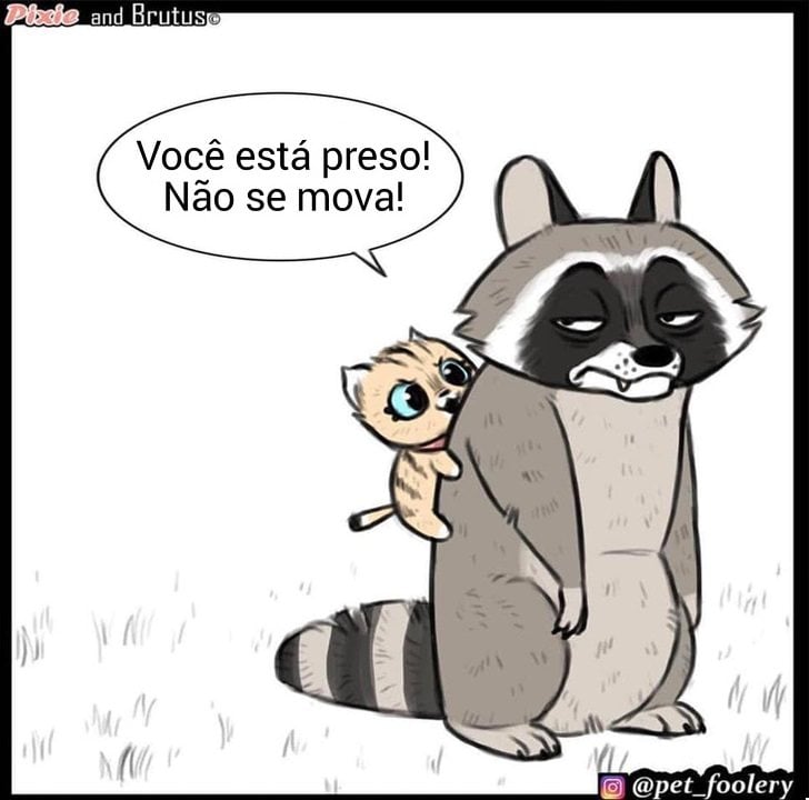 gatinha-pastor-alemao6-4-compressed