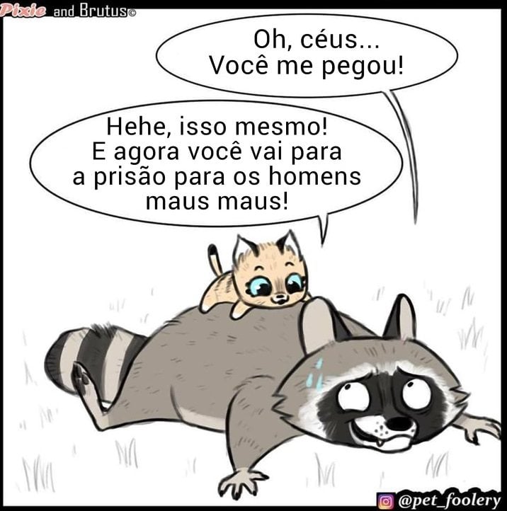 gatinha-pastor-alemao6-6-compressed