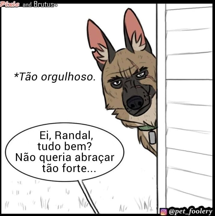 gatinha-pastor-alemao6-7-compressed