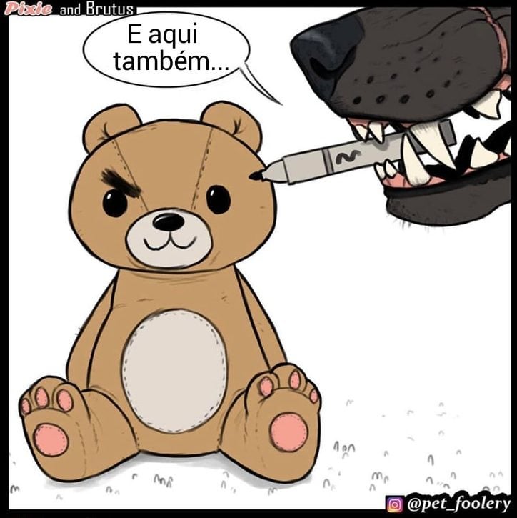 gatinha-pastor-alemao7-1-compressed