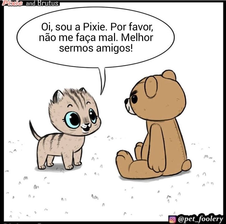 gatinha-pastor-alemao7-3-compressed