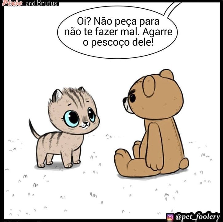 gatinha-pastor-alemao7-4-compressed