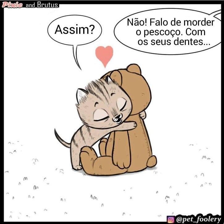 gatinha-pastor-alemao7-5-compressed