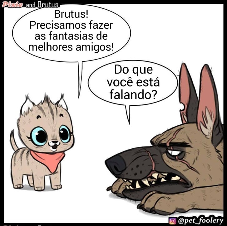 gatinha-pastor-alemao8-1