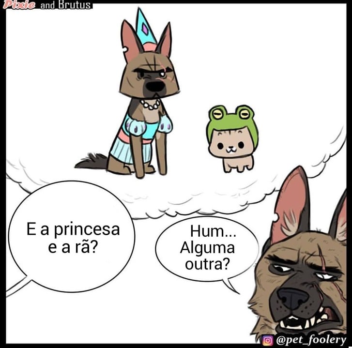 gatinha-pastor-alemao8-3