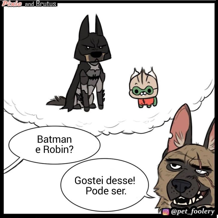 gatinha-pastor-alemao8-4