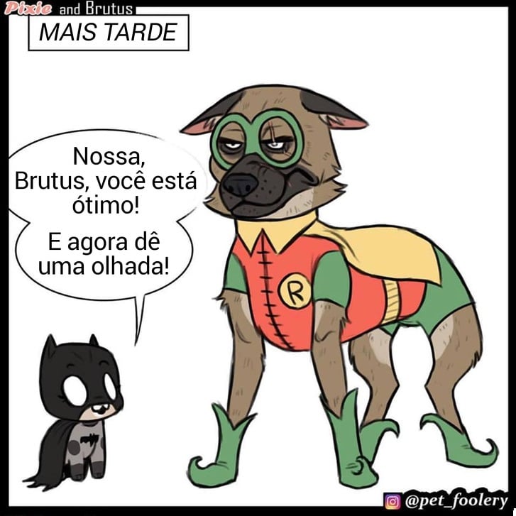 gatinha-pastor-alemao8-5