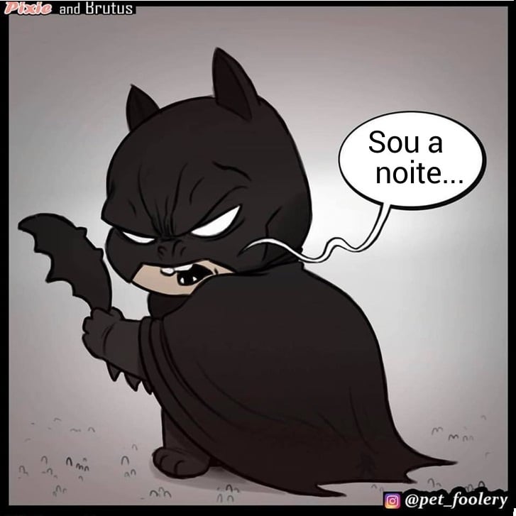 gatinha-pastor-alemao8-6