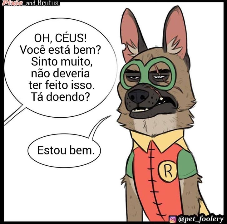 gatinha-pastor-alemao8-8-compressed