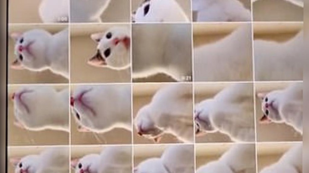 Foto: Reprodução/ site dailymail