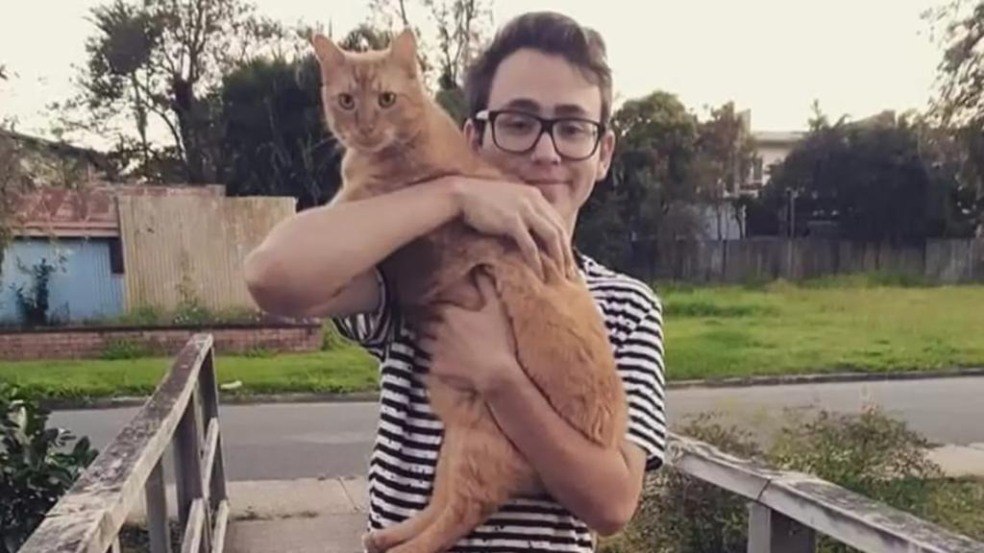 Gato cava buracos e põe a culpa em cachorros