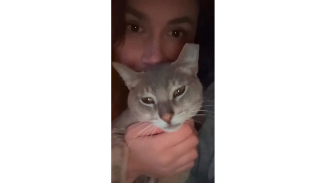 Mulher com gato cinza