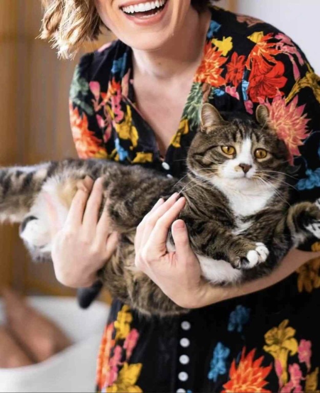 gato ganha nova casa