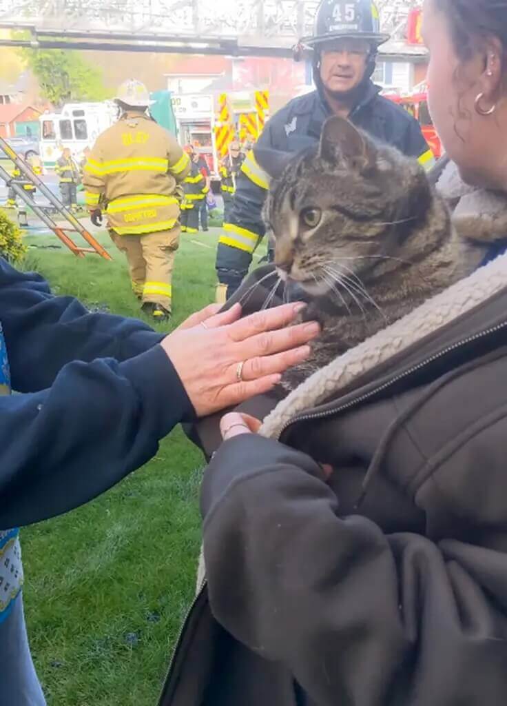 Mulher segurando gato