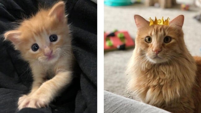 Foto: Reprodução/Instagram