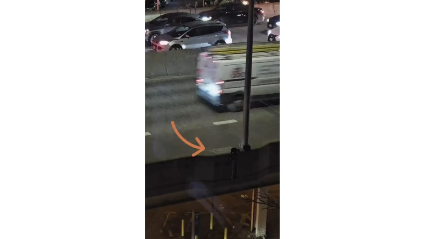 gato preso em viaduto